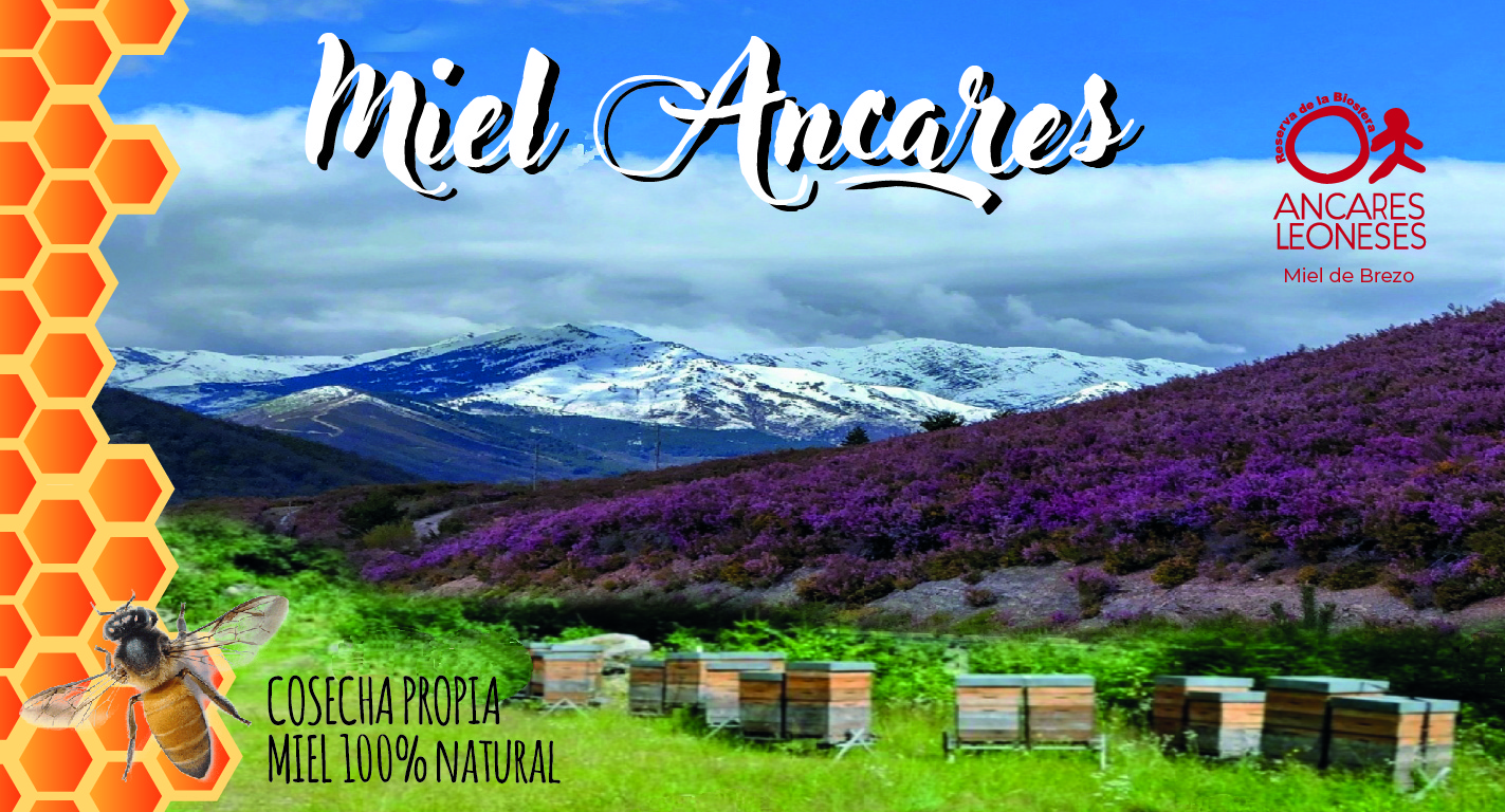 Miel Ancares