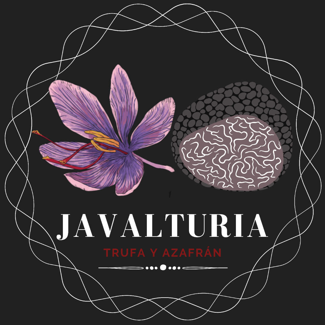 javalturia