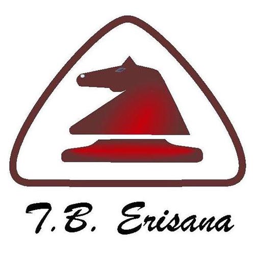 Tacos de Billar Erisana