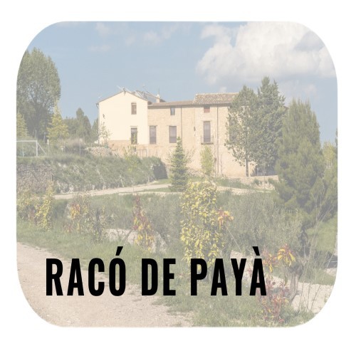 Racó de Payà