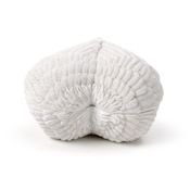 miniatura Cajita joyero corazón alas de ángel 4