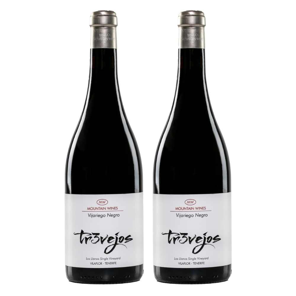 Trevejos MW Vijariego Negro 75 cl.
