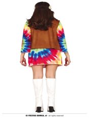 miniatura vista trasera