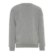 miniatura Imagen SUDADERA CHAMPION GRIS FIELD 305018-EM006