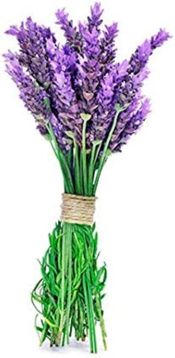 miniatura flor de lavanda