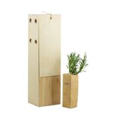 miniatura Lavanda - Arbusto de pequeño tamaño en caja de madera