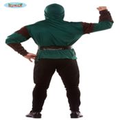 miniatura vista trasera