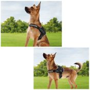 miniatura seguridad y comodidad