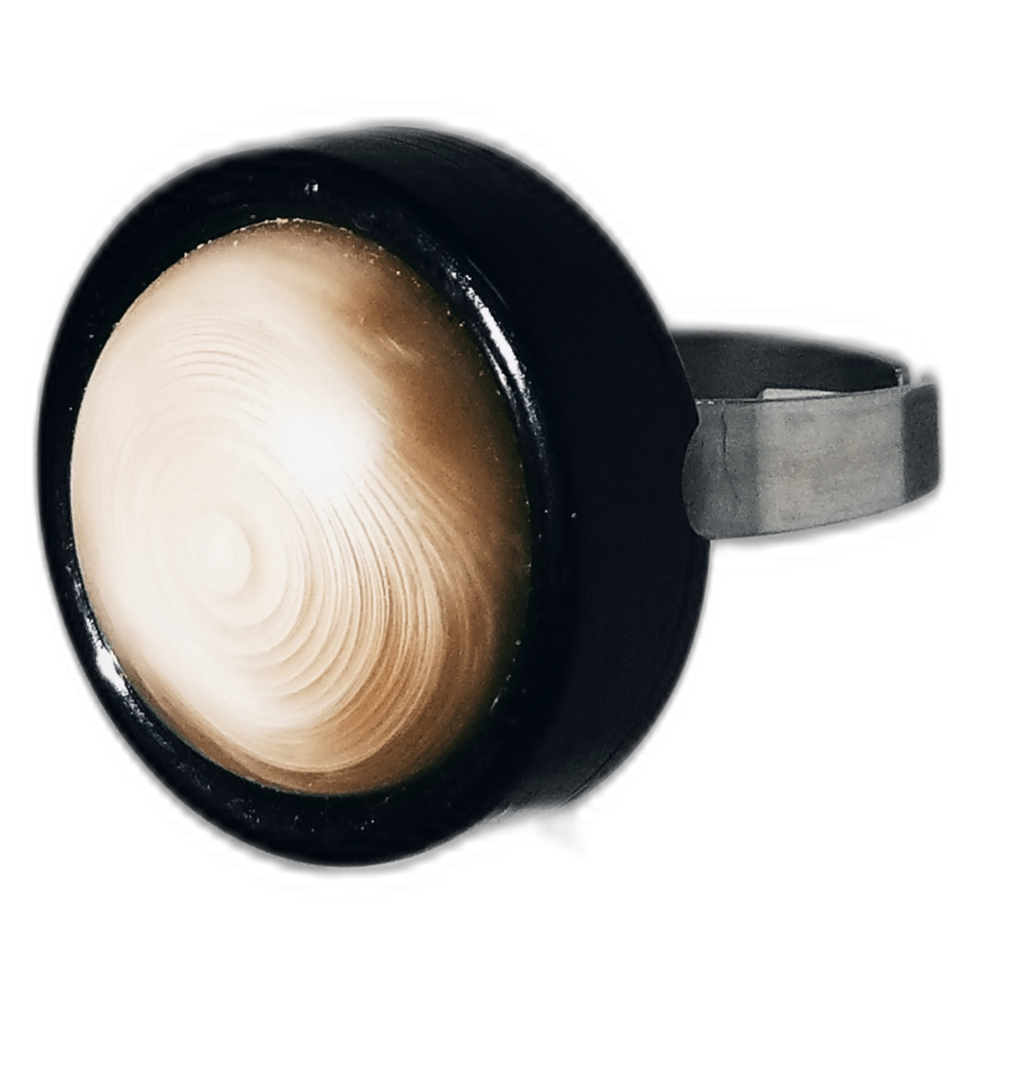 Anillo Sostenible Ecodedal