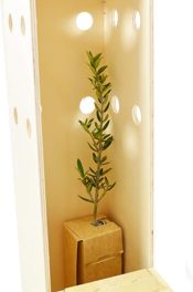 miniatura árbol para regalo