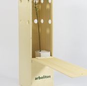 miniatura plantas para regalo