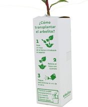 miniatura instrucciones para plantar alcornoque