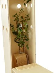 miniatura planta para regalar