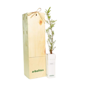 miniatura Enebro Arbolito pequeño