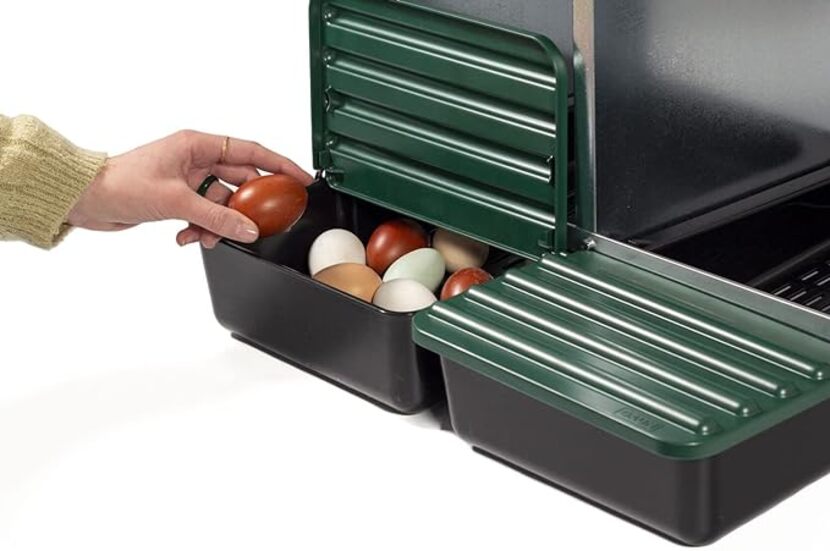 cubeta para nidos de gallina