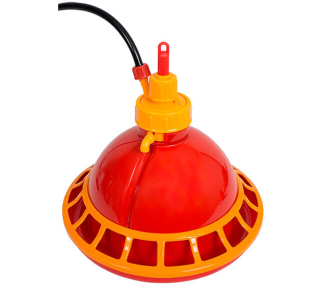 bebederos automáticos para pollitos