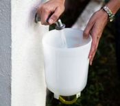 miniatura bebedero de plástico vegetal