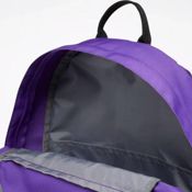 miniatura Imagen MOCHILA REEBOK JUNIOR TR BP MORADO ROSA BACK PACK EC5390