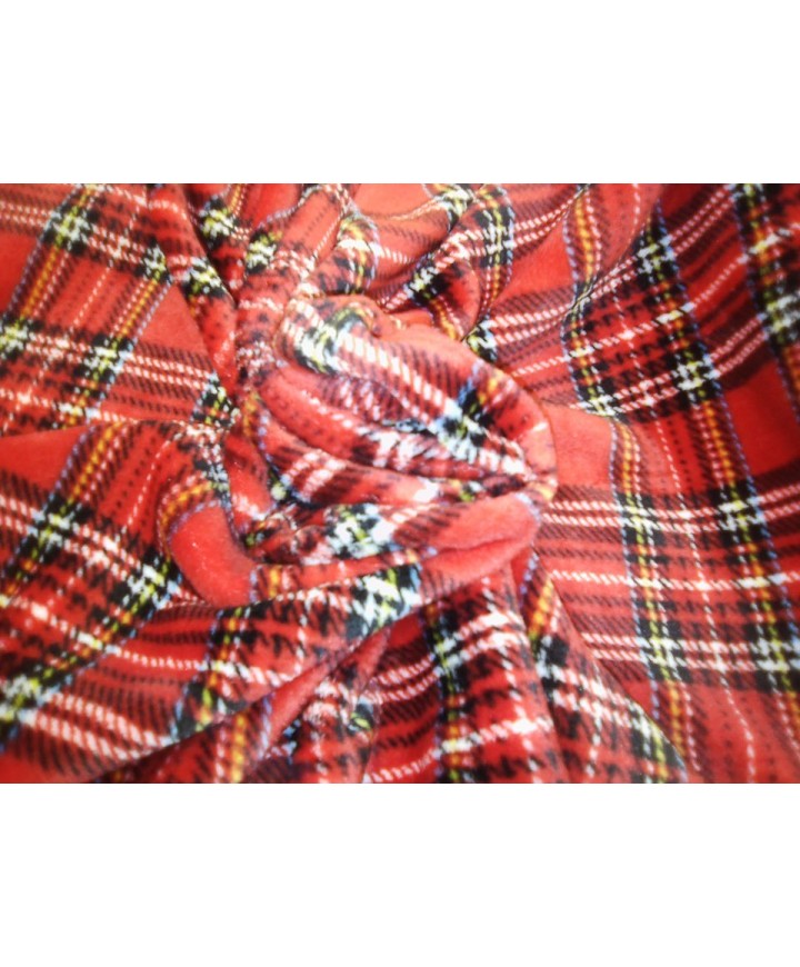 Coralina cuadro rojo