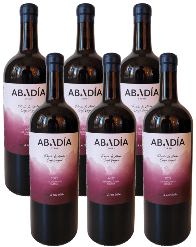 Familia Lodares Caja Abadía 2022 -Syrah 6 x 750 ml