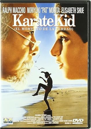 DVDTOTAL Karate Kid [DVD] [dvd] [2020]