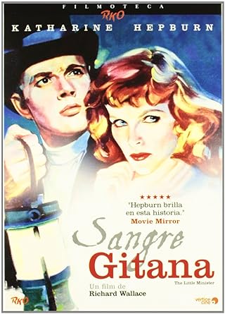 DVDTOTAL Sangre gitana (Edición Especial) [DVD] [dvd] [2011]