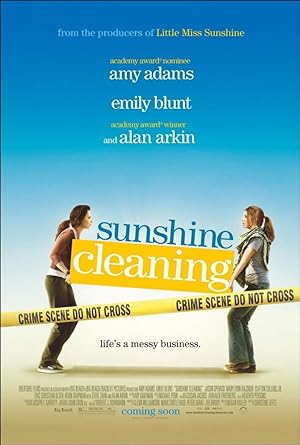 DVDTOTAL Sunshine cleaning [DVD] [dvd] [2011]