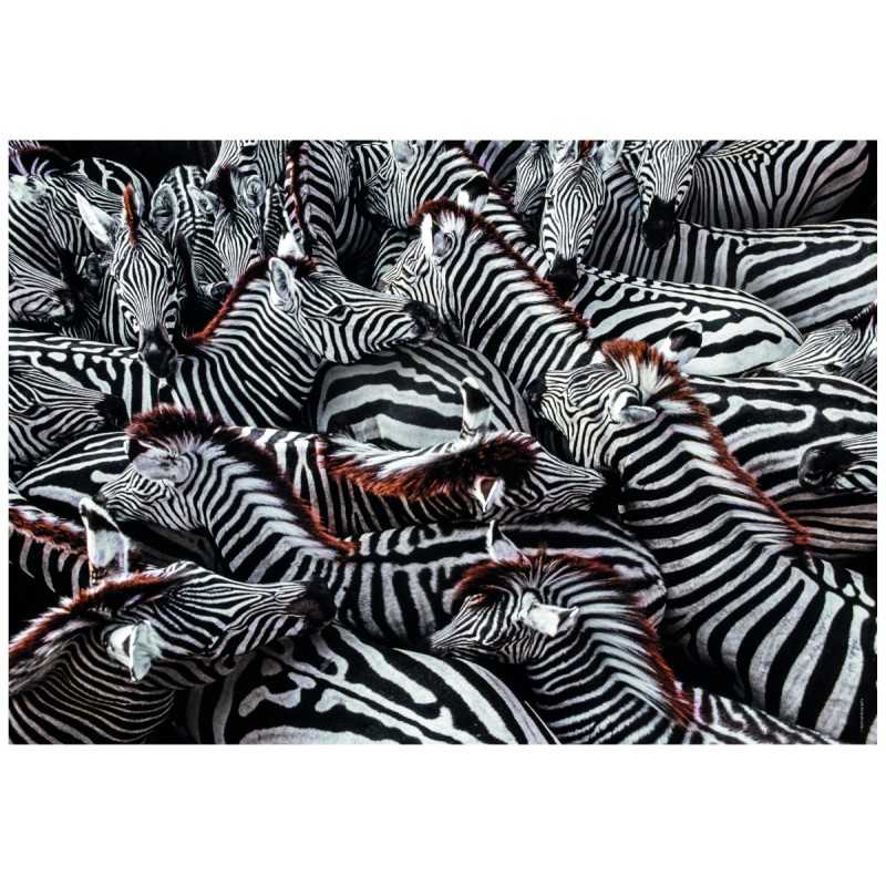 Clementoni Puzzle 1000 Piezas Cebras Africanas National Geographic