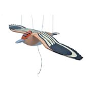 miniatura Móvil de una Abubilla