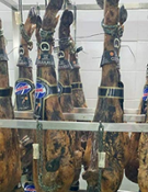 miniatura Jamón de Bellota