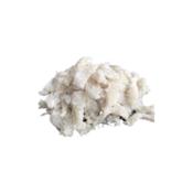 miniatura Desmigado Abadejo de  Alaska