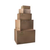 miniatura Línea Bosques - todos los tamaños de cajas