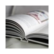 miniatura libro anecdotario postal con anécdotas reales de empleados de Correos