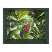 miniatura Vaciabolsillos fundación Alapar de frente