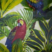 miniatura zoom imagen loros vaciabolsillos A LA PAR