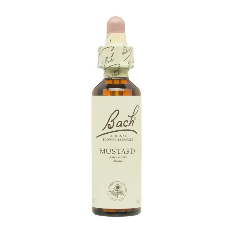 Bach Flor nº 21 Mustard 20ml Bach