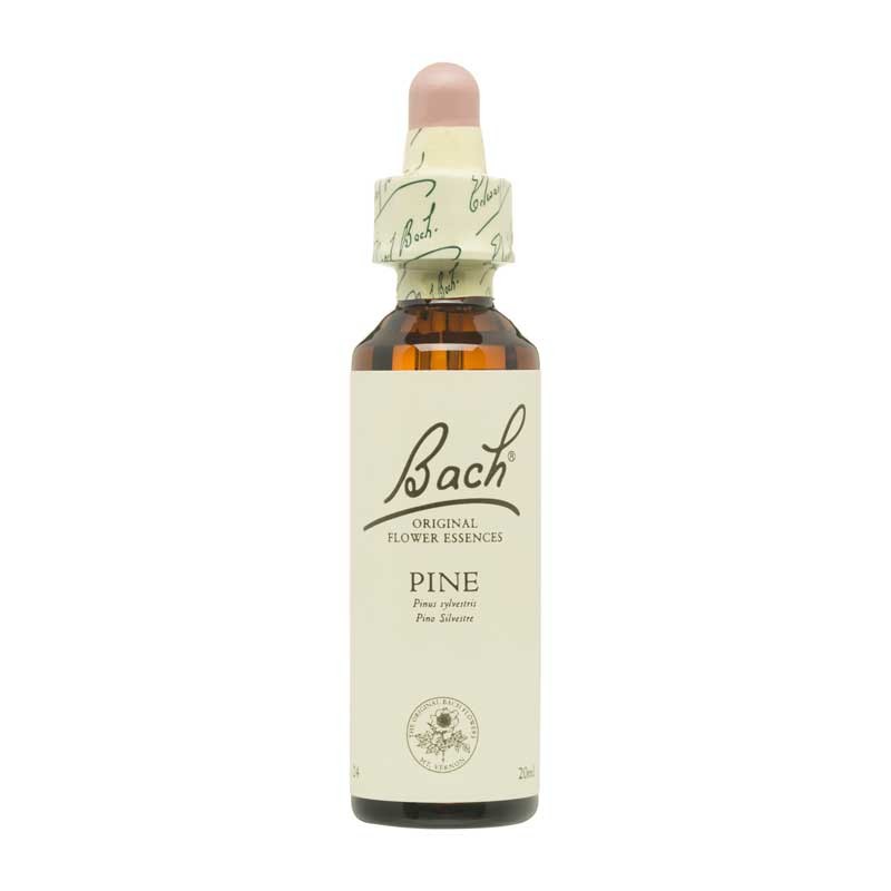 Bach Flor nº 24 Pine 20ml Bach