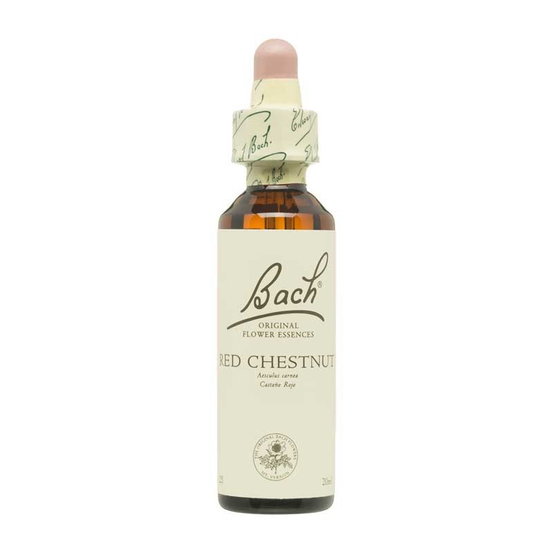 Bach Flor nº 25 Red Chestnut 20ml Bach