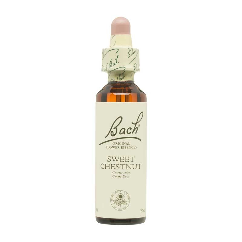 Bach Flor nº 30 Sweet Chestnut 20ml Bach