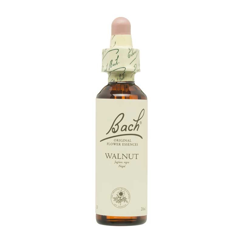 Bach Flor nº 33 Walnut-Nogal 20ml Bach