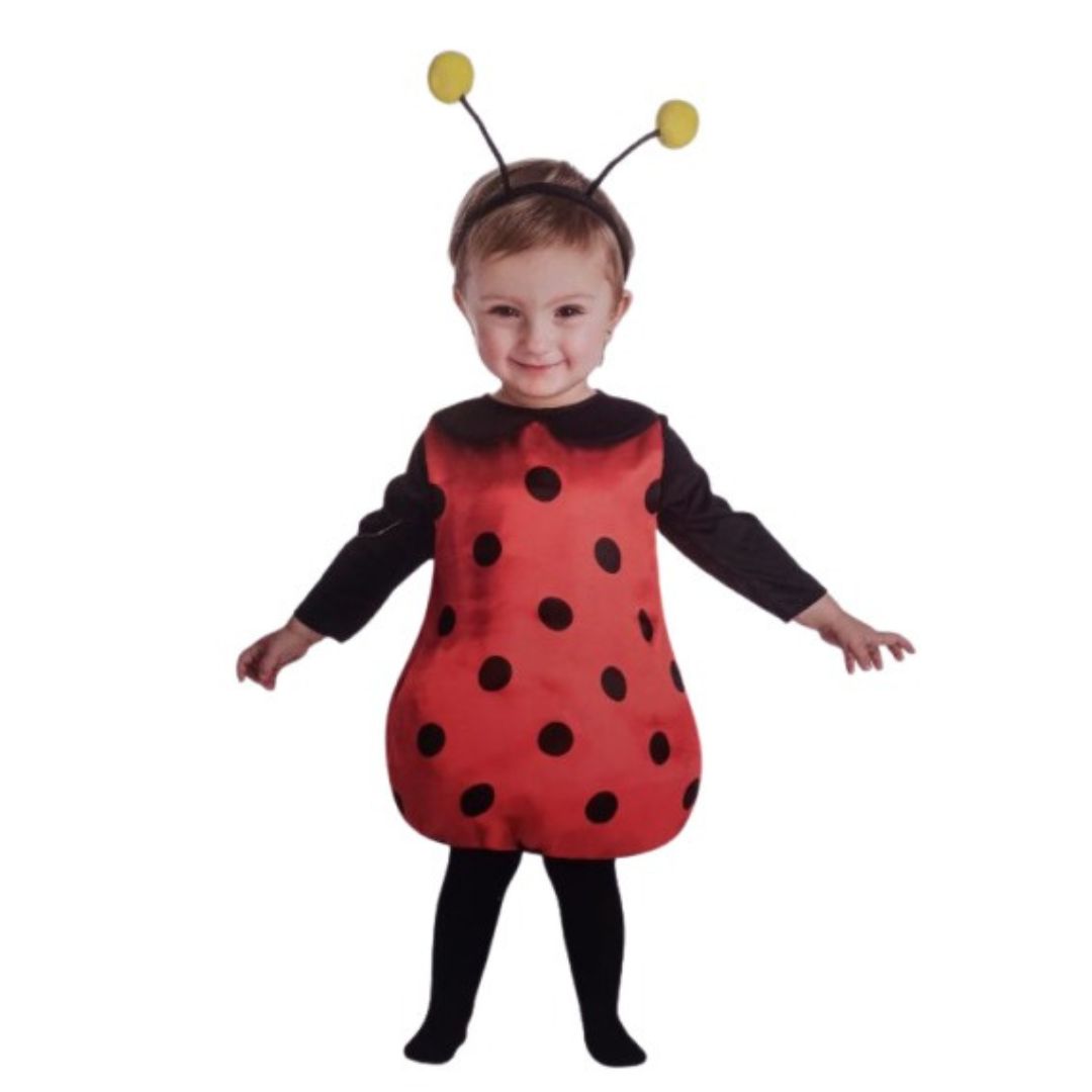 Disfraz de Mariquita