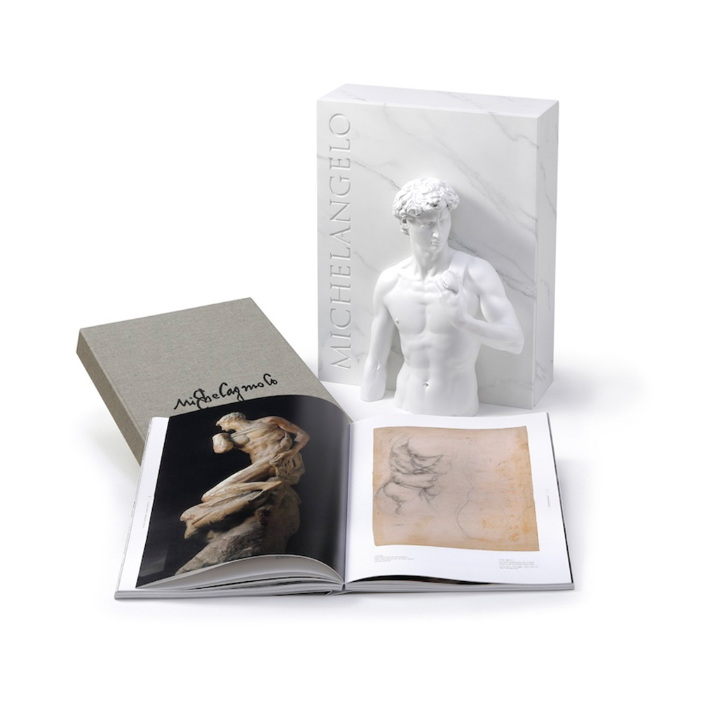 Libro Michelangelo: Dibujos 1