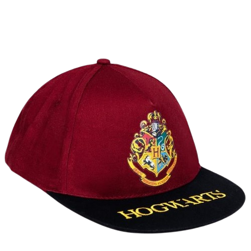 Gorra Premium Harry Potter Hogwarts Visera Plana