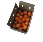 miniatura Naranjas de mesa 15 Kg