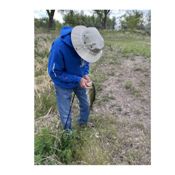 miniatura Viajeros y aventureros 