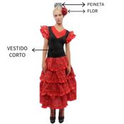 miniatura Flor roja con puntos negros para el cabello y peine negro para un look completo.