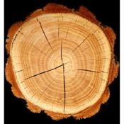 miniatura Equivalencia Platinum Eau de Parfum para hombre 100ml 4