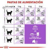 miniatura Royal Canin Sterilised 2 kg 8
