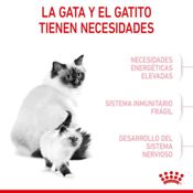 miniatura Royal Canin Mother & Babycat 2 kg 6