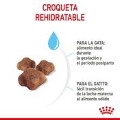 miniatura Royal Canin Mother & Babycat 2 kg 8